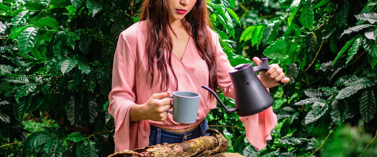 woman in coffee plantation in guatemala