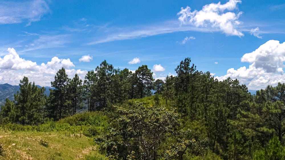Cerro Huexque, San José La Arada, Chiquimula, Guatemala