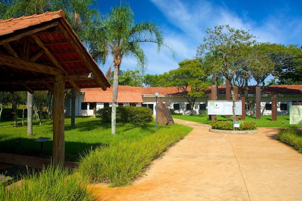 Ecomuseum featuring a garden