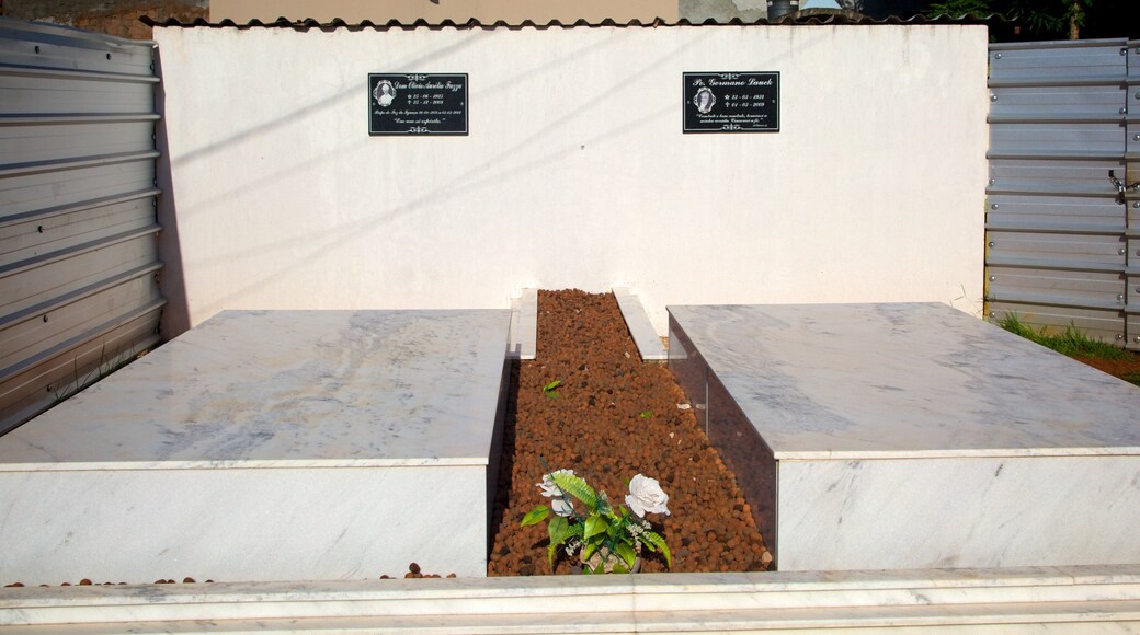 Catedral de San Juan Bautista que incluye una iglesia o catedral y elementos religiosos