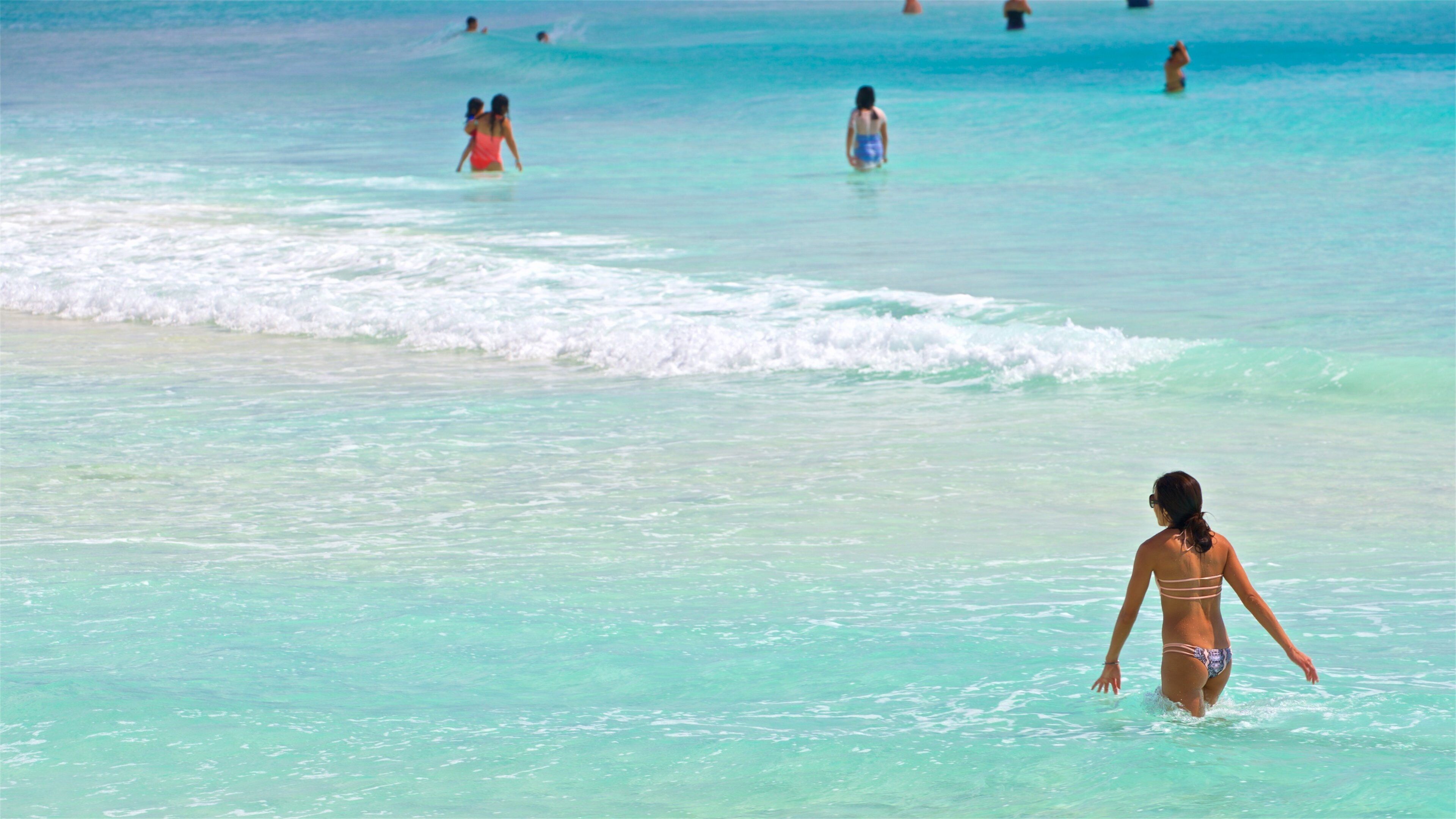 チャック モール ビーチ 表示 砂浜, 常夏の風景 と スイミング