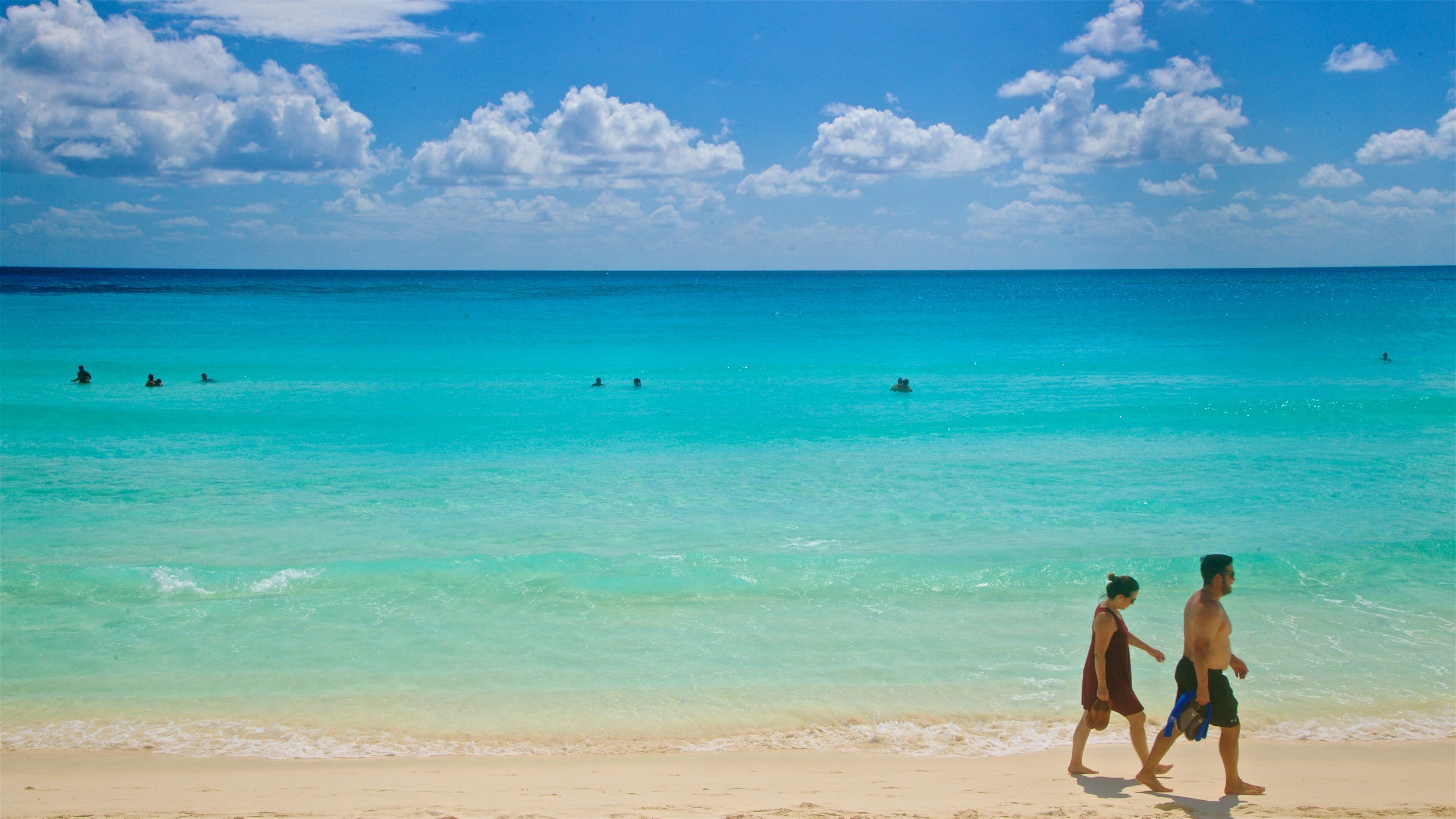 Chac Mool Beach which includes tropical scenes, a sandy beach and general coastal views
