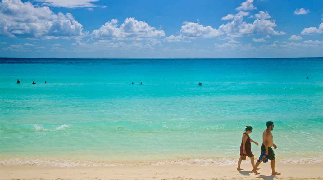 Chac Mool Beach which includes tropical scenes, a sandy beach and general coastal views