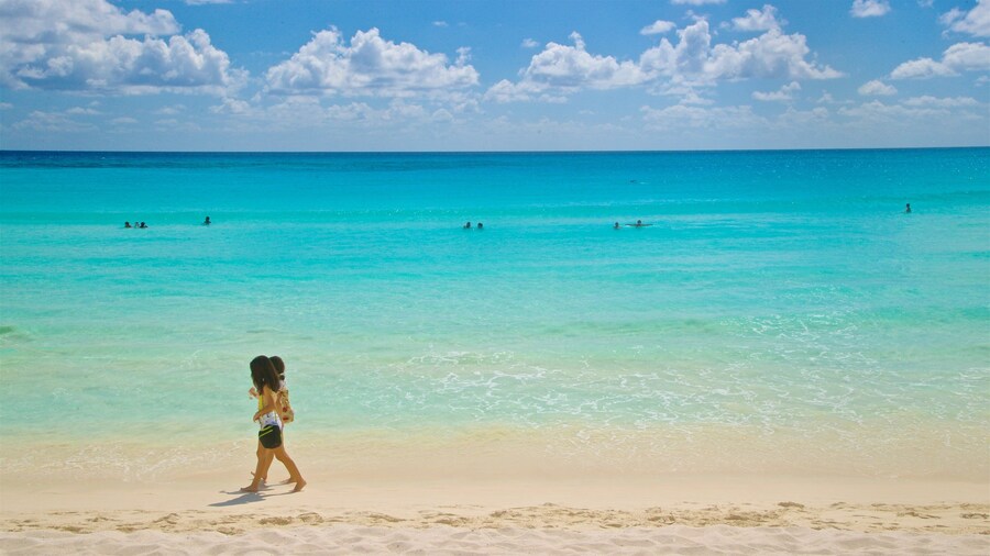 Chac Mool Beach showing a beach, tropical scenes and general coastal views