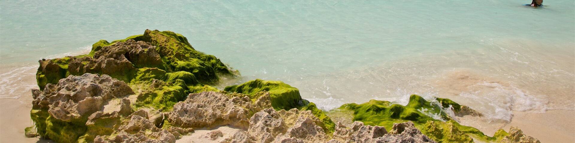 Gaviota Azul Beach which includes swimming, tropical scenes and general coastal views