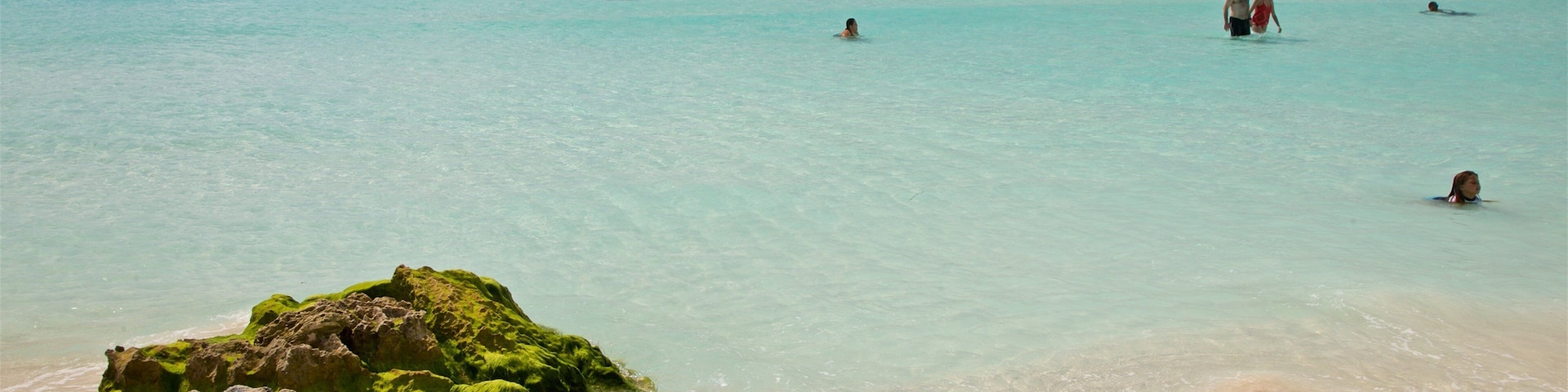 Gaviota Azul Beach which includes swimming, tropical scenes and general coastal views