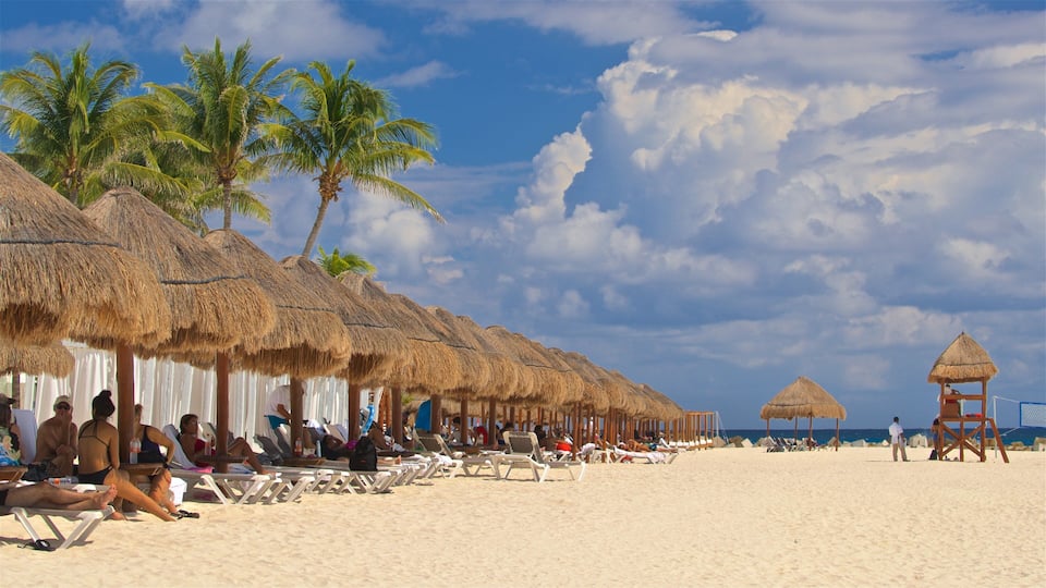 A beach with thatched umbrellas and palm trees.