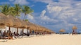 A beach with thatched umbrellas and palm trees.