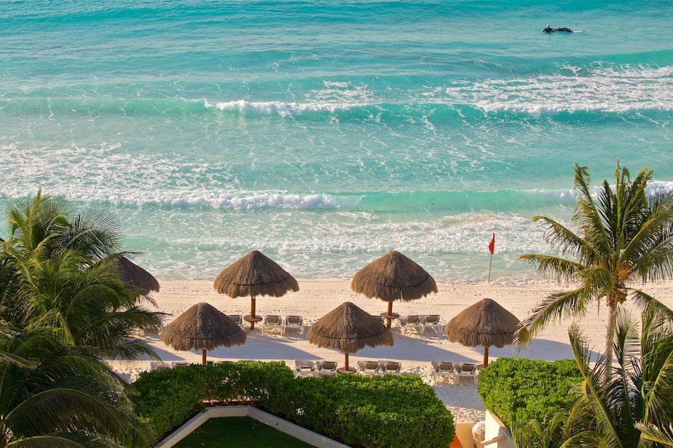 Uma praia com guarda-sóis de palha, palmeiras e uma bandeira na orla.