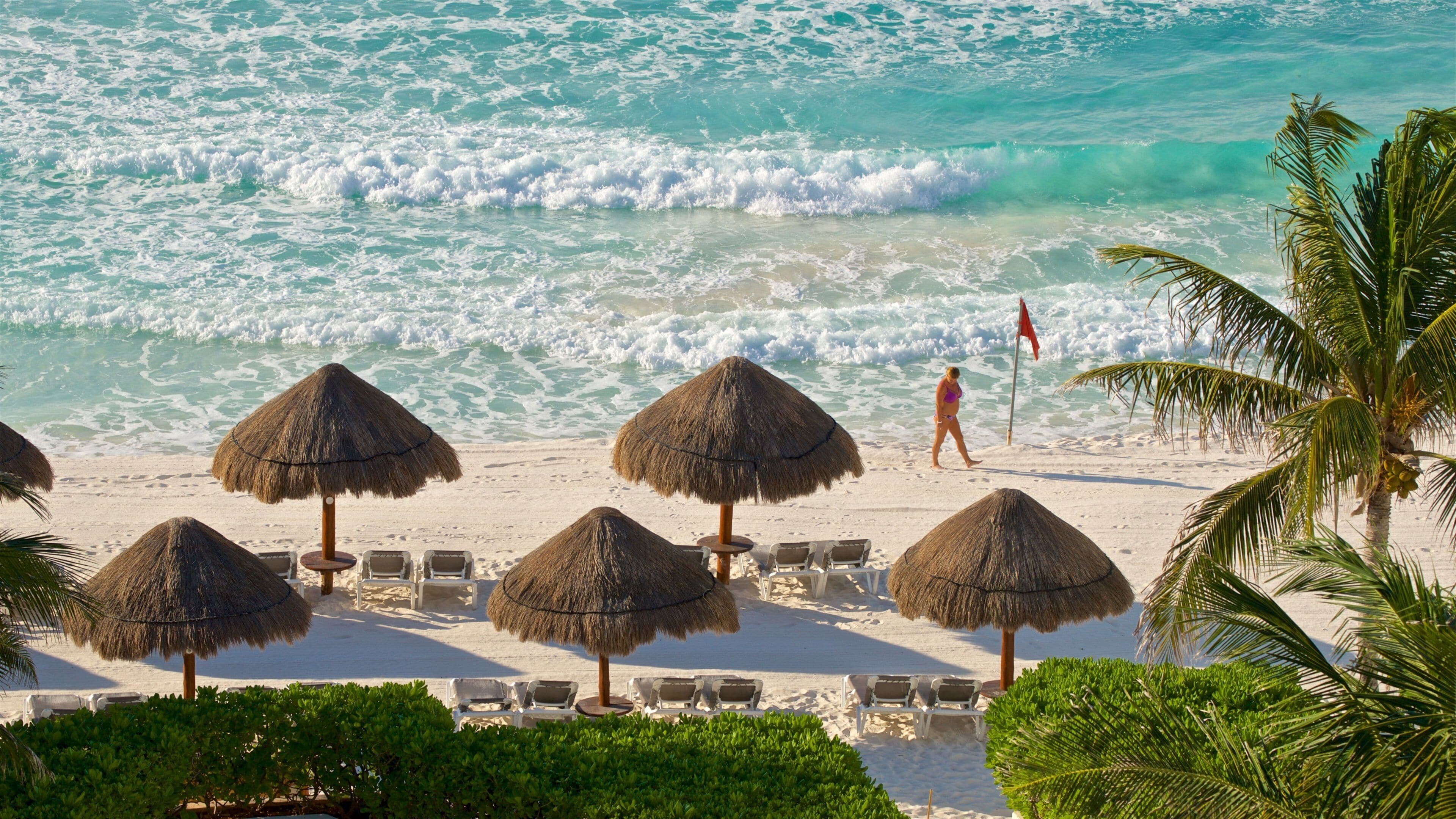 Ein Strand mit Reetdach-Sonnenschirmen, Liegestühlen und Palmen.
