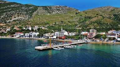 A coastal town with a pier, boats, and buildings on a hillside.