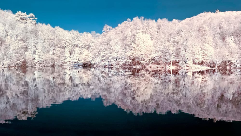 Seven Lakes National Park is located in the Black Sea Region, in the north of Bolu, in the south of Zonguldak, in the east of Düzce, in the east of the province of Mengen.
