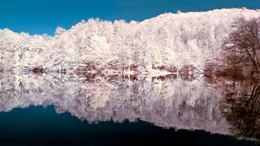 Seven Lakes National Park is located in the Black Sea Region, in the north of Bolu, in the south of Zonguldak, in the east of Düzce, in the east of the province of Mengen.