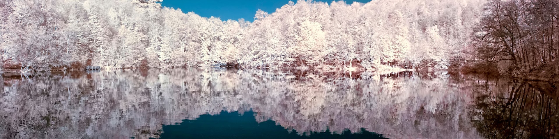 Seven Lakes National Park is located in the Black Sea Region, in the north of Bolu, in the south of Zonguldak, in the east of Düzce, in the east of the province of Mengen.