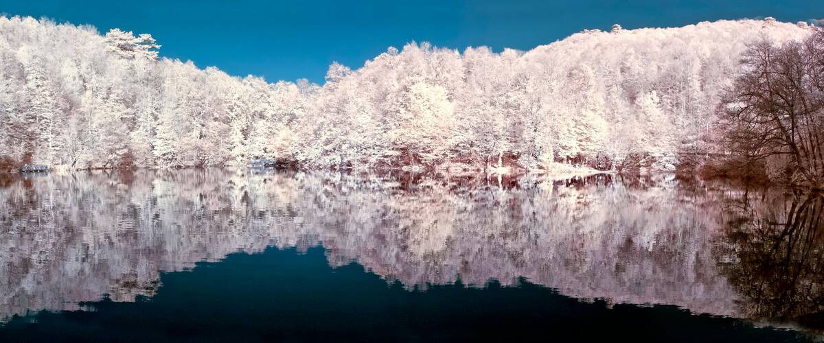 A serene lake surrounded by snow-covered trees under a clear blue sky.