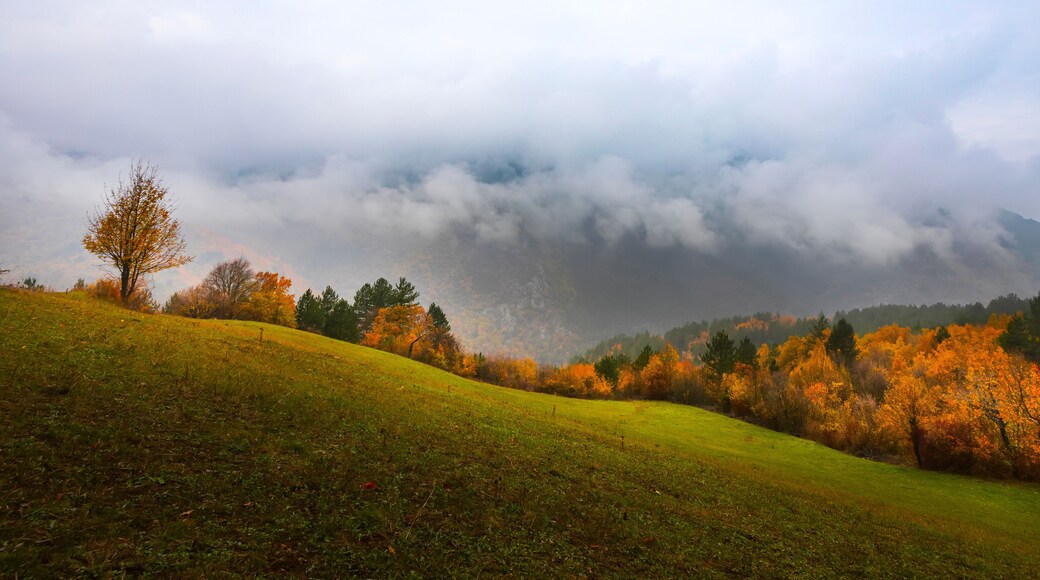 Autumn landscape. Beautiful colors of autumn and nature. Colorful nature background.