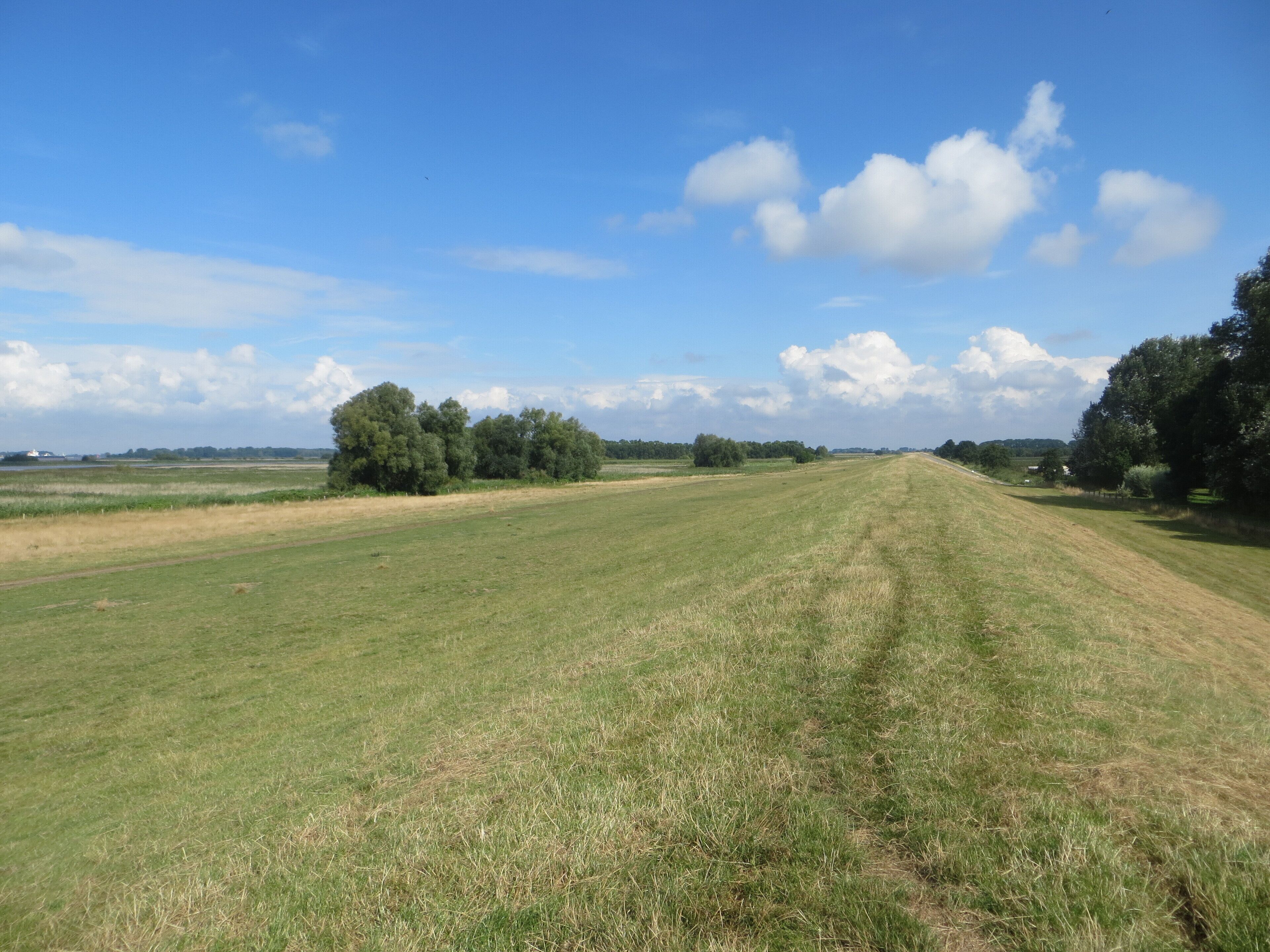 Deich in der Gemeinde Haselau/Hohenhorst