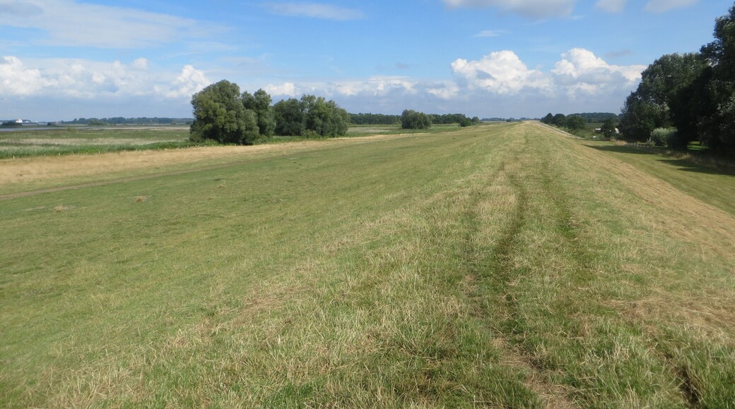 Deich in der Gemeinde Haselau/Hohenhorst