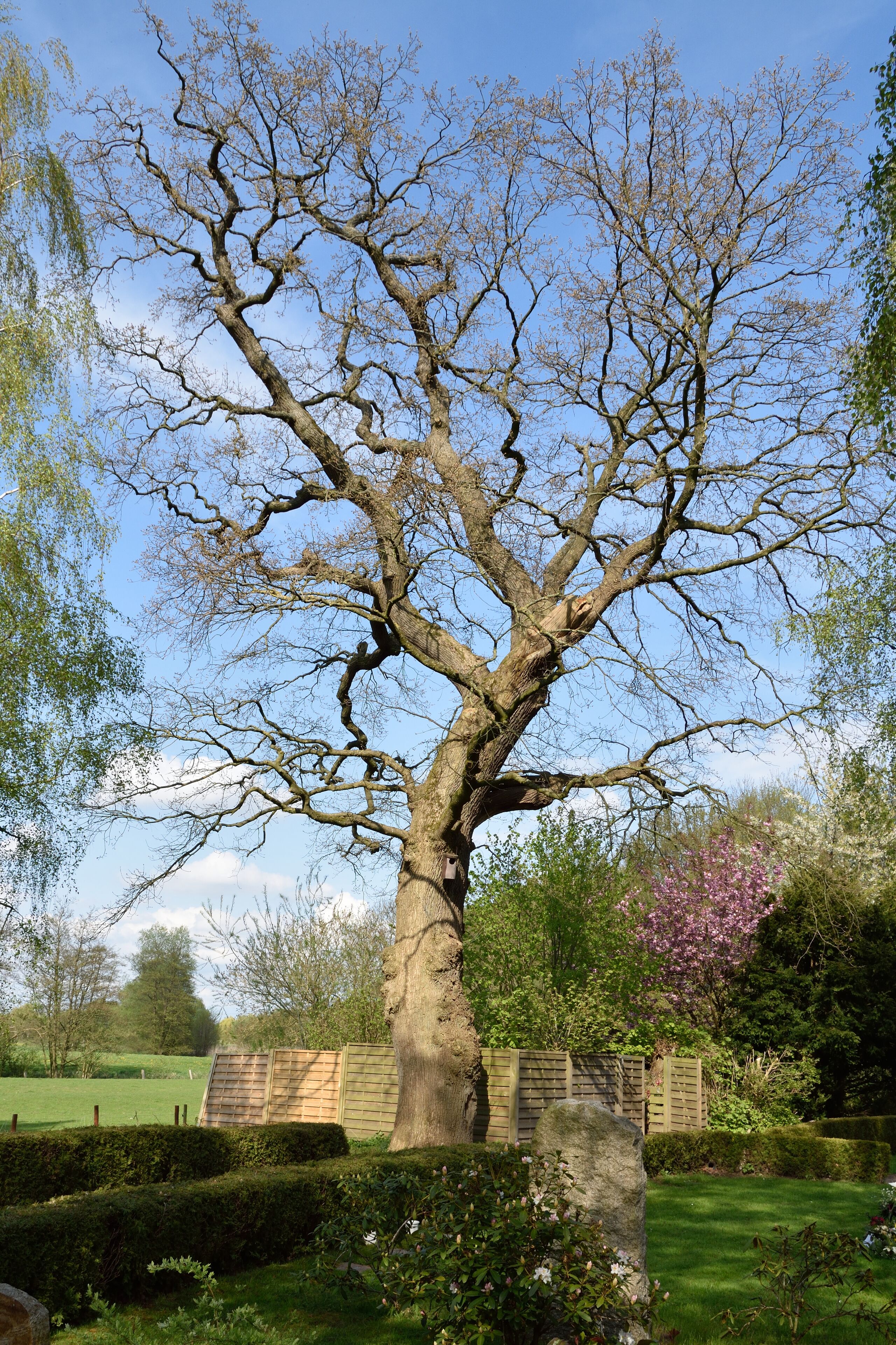 This image was uploaded as part of Wiki Loves Earth 2015.