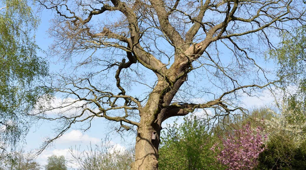 This image was uploaded as part of Wiki Loves Earth 2015.