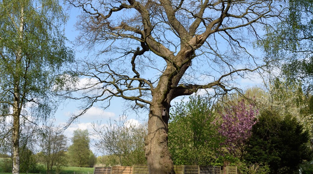 This image was uploaded as part of Wiki Loves Earth 2015.