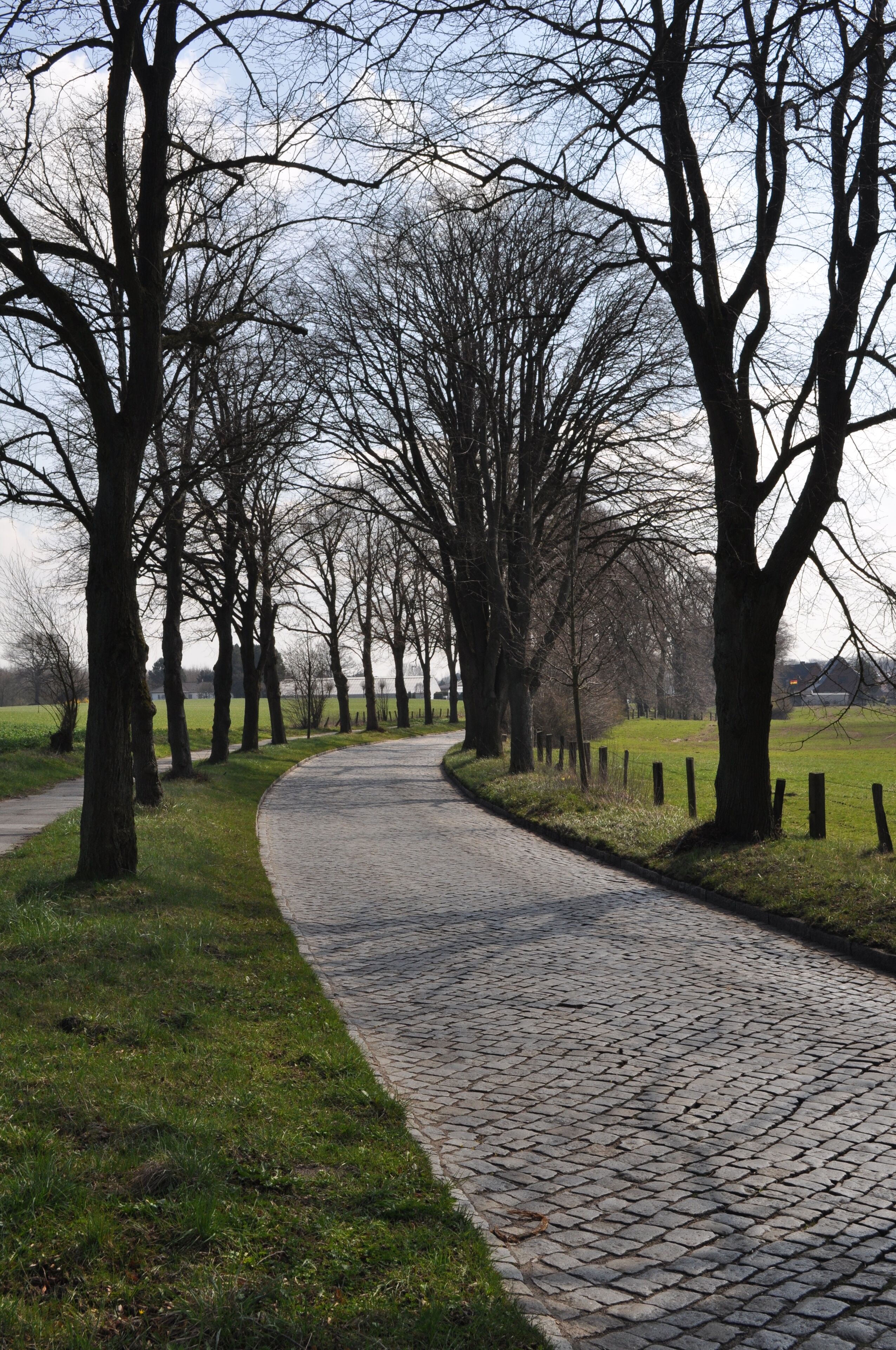 Ohlstedter Straße in Ammersbek.