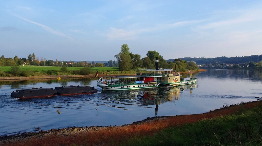 Paddle Steamer Pirna