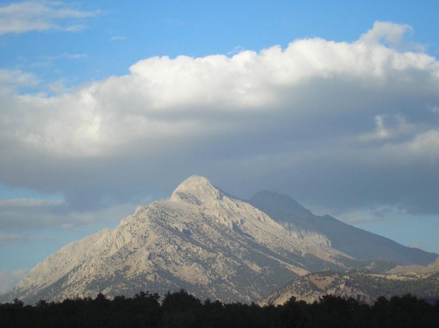 Toroslar