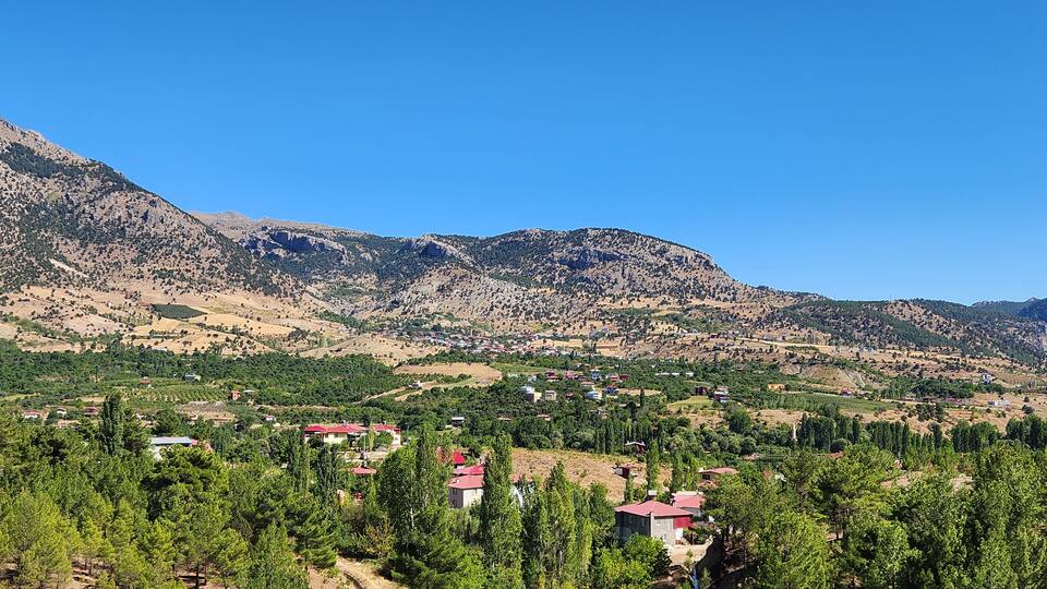 A mountainous landscape with scattered houses and dense green forests.