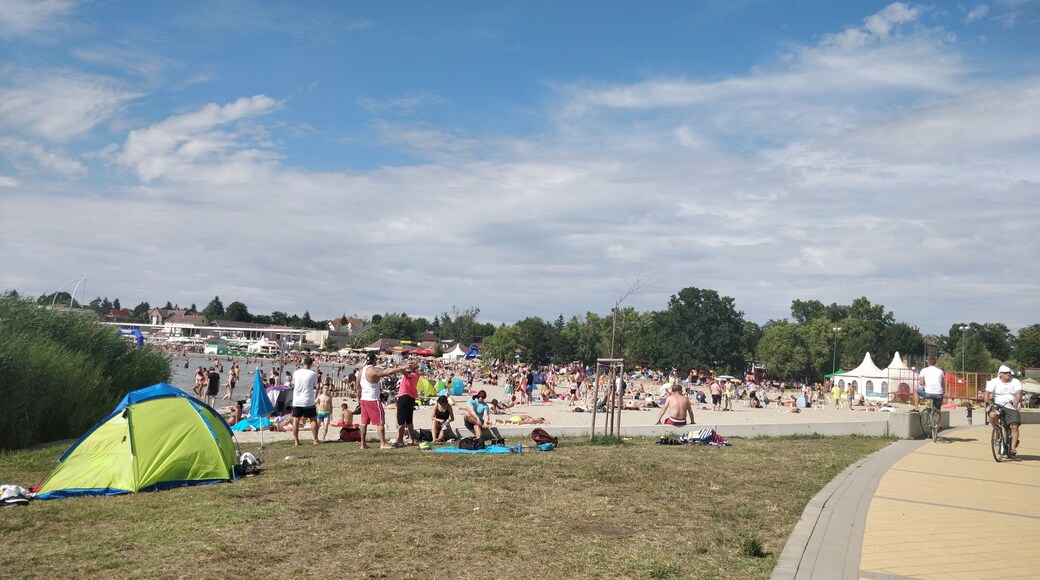 A crowded beach, worth avoiding