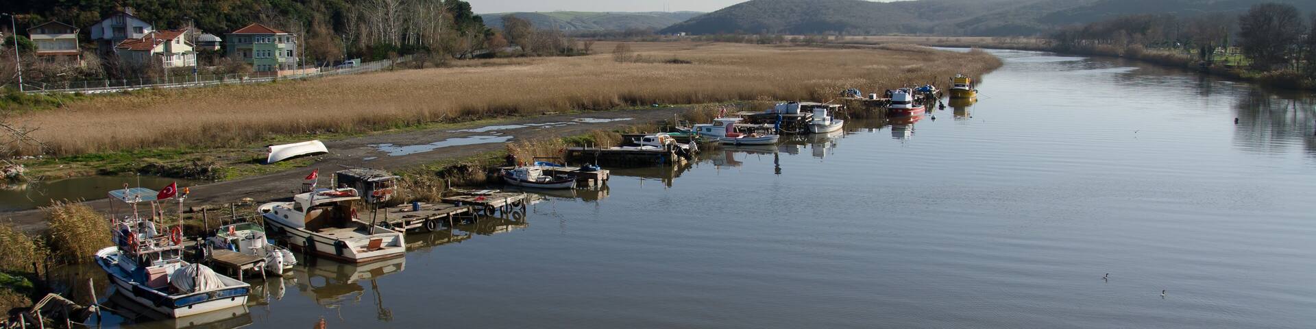 a stream in Istanbul Riva, Turkey