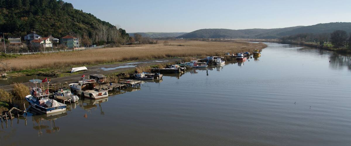 A calm river with boats docked along the shore, surrounded by hills and houses.