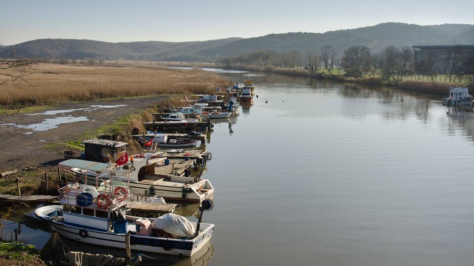 A river with boats docked along the shore, surrounded by grassy fields and hills in the background.