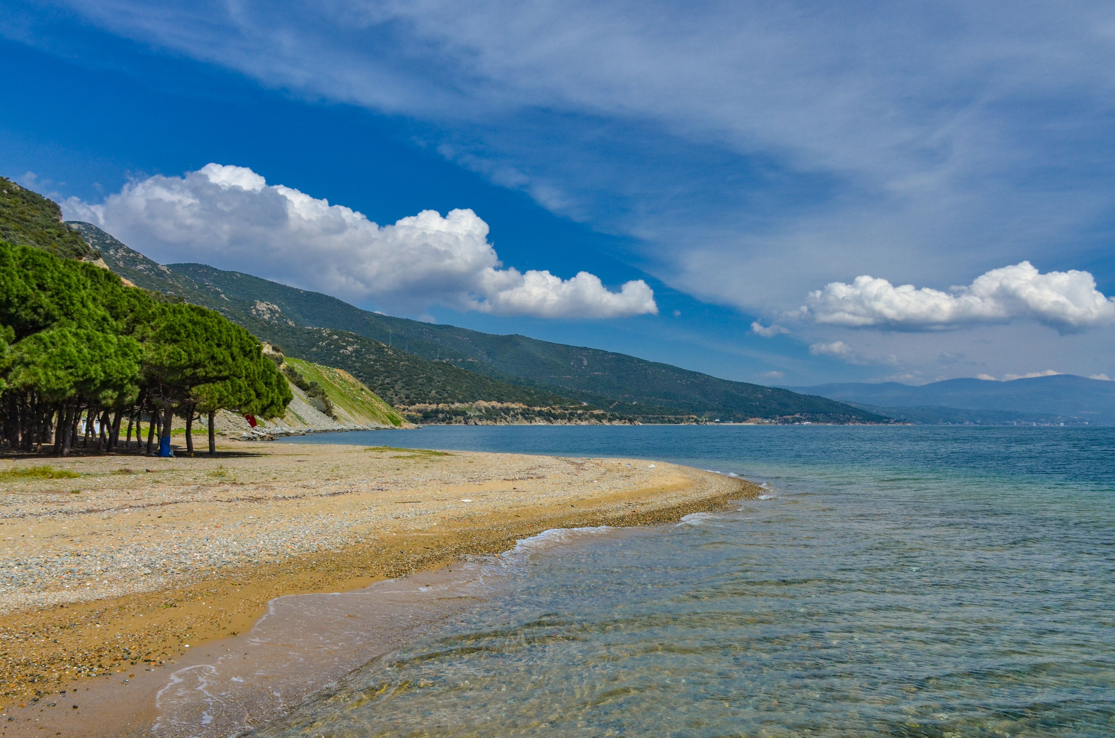 sand and pines on Çamlık Plaj scenic beach and Marmara sea near Kapakli (Yalova province, Turkey) 