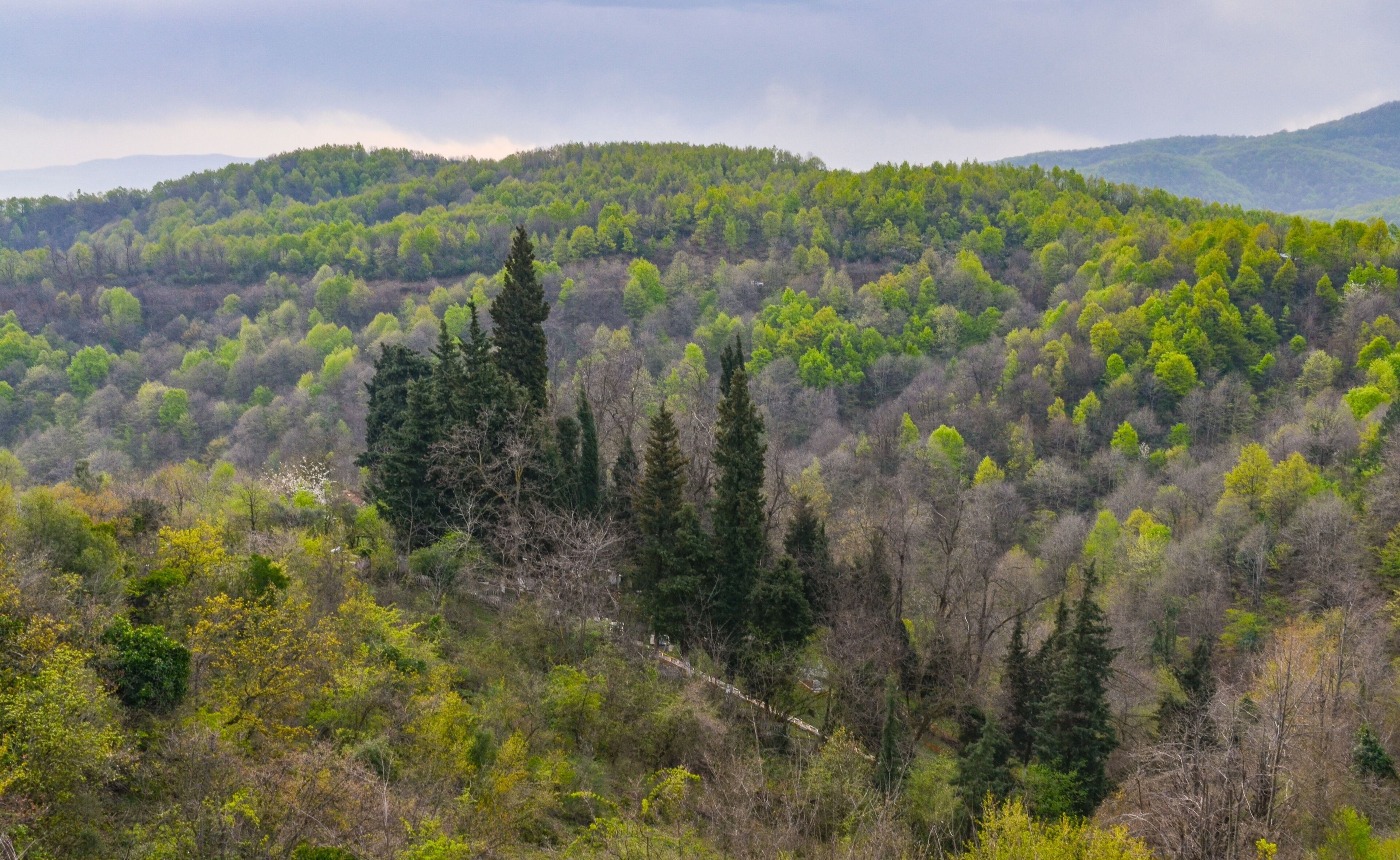 scenic view of Yesil Vadi (Green Valley) near Termal (Yalova, Turkiye) 