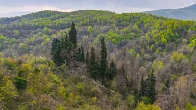 scenic view of Yesil Vadi (Green Valley) near Termal (Yalova, Turkiye)