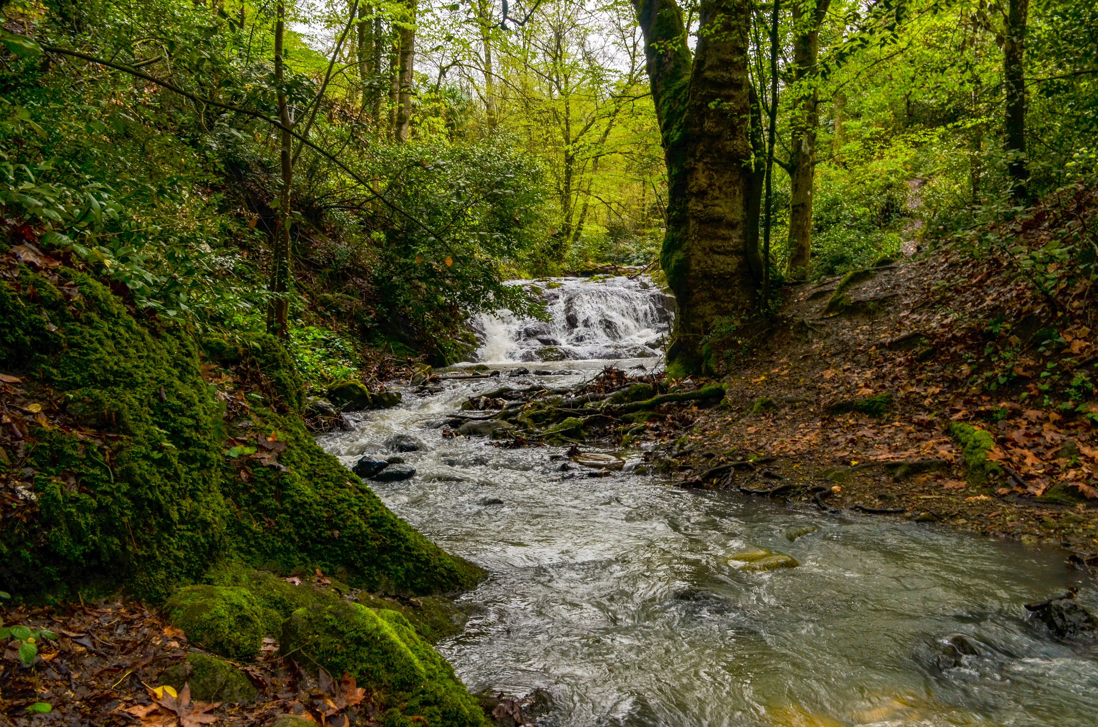 scenic waterfalls on the mountain stream in Termal Kaplicalar park (Yalova, Turkey)