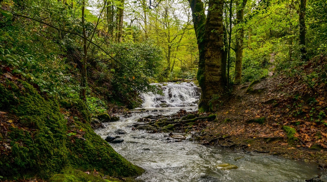 scenic waterfalls on the mountain stream in Termal Kaplicalar park (Yalova, Turkey)
