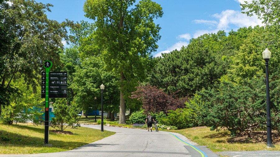 Parc Jean-Drapeau which includes a park