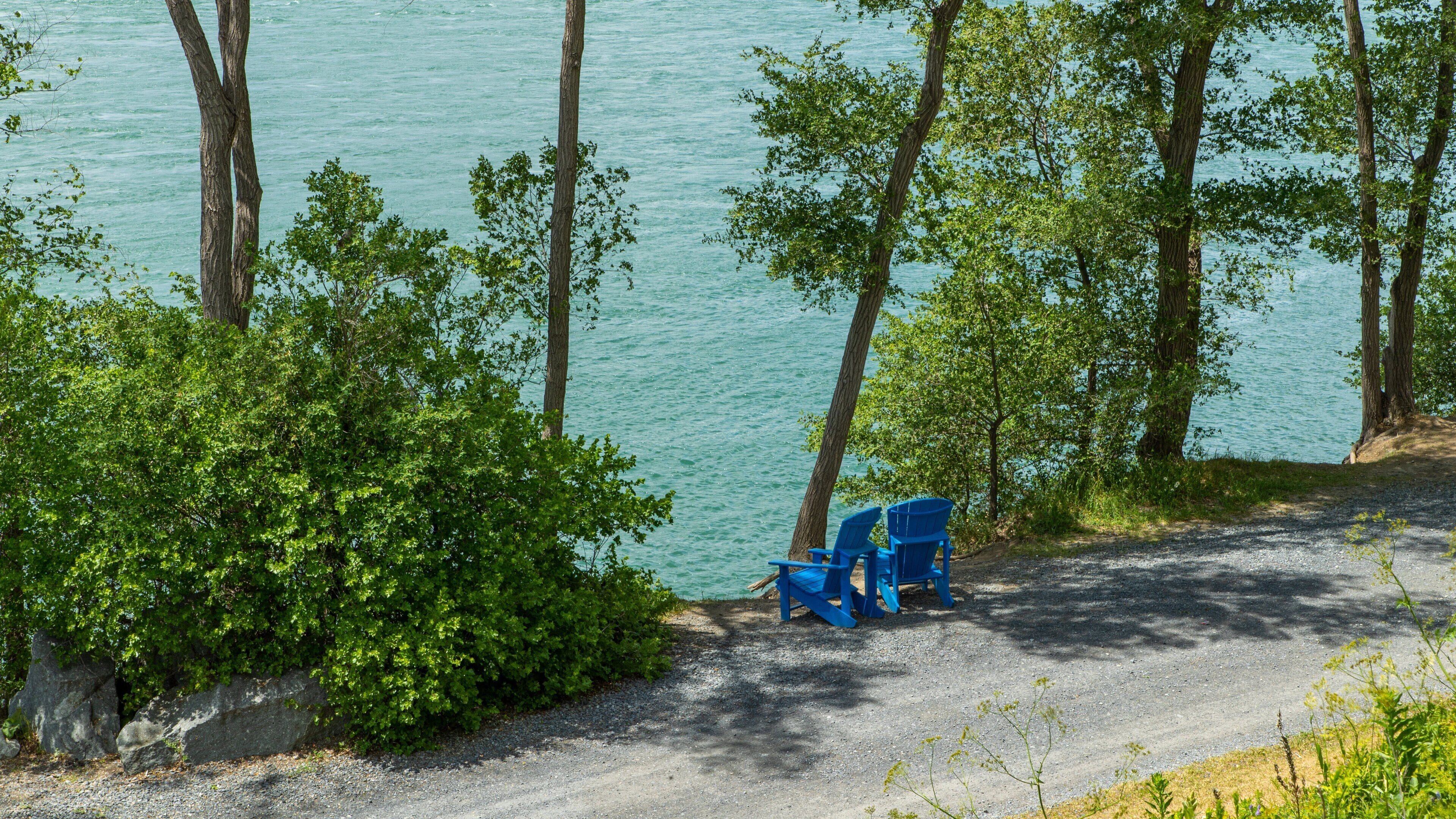 Parc Jean-Drapeau featuring a lake or waterhole and a park