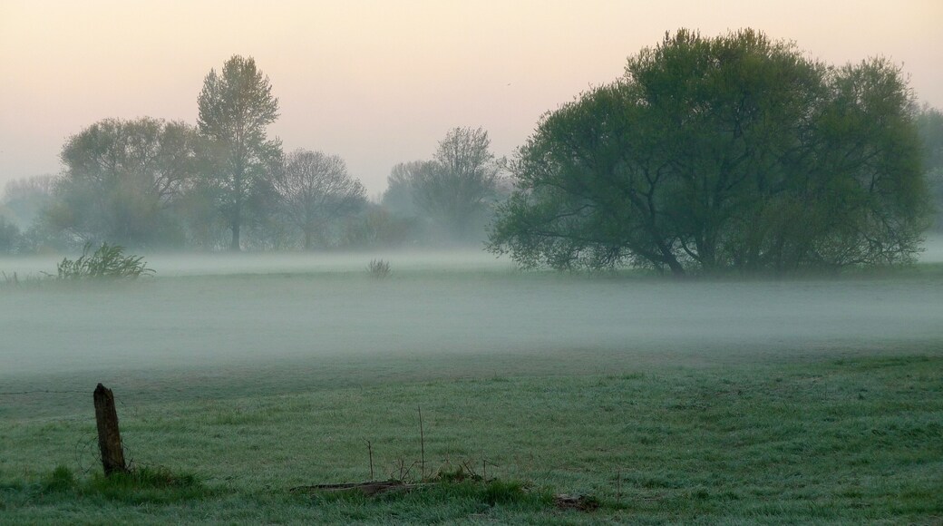 Herrenhausen, Hannover, Germany