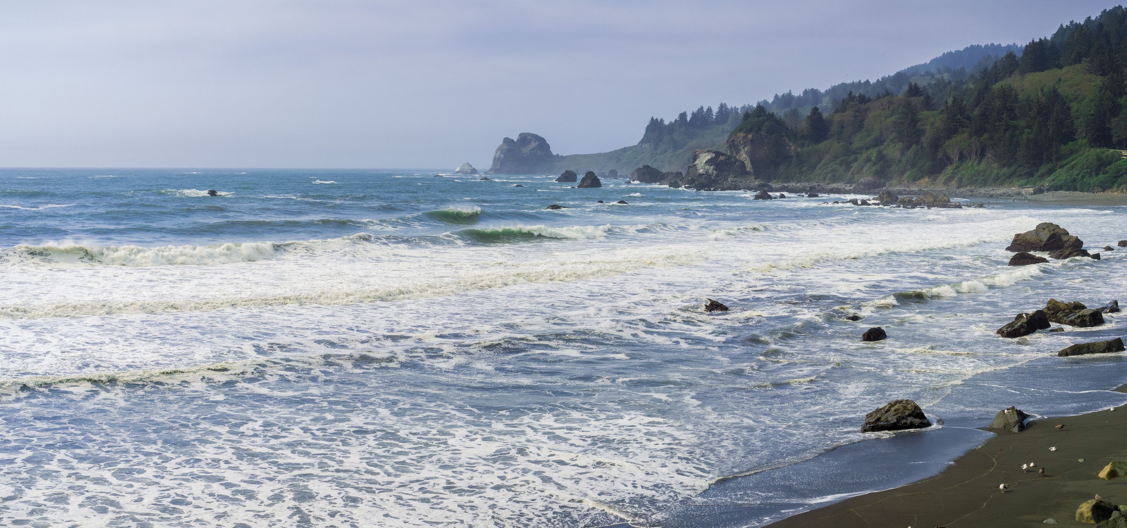 Dramatic landscape of the Pacific Ocean Coast during high tide and strong surf, False Klamath Cove, California