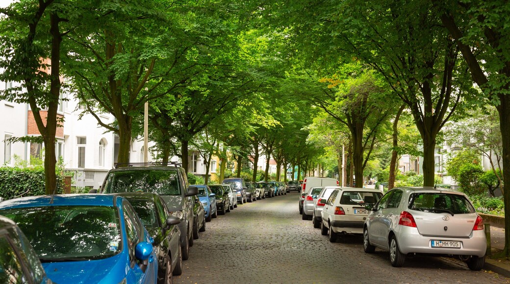 Vahrenwald featuring a park