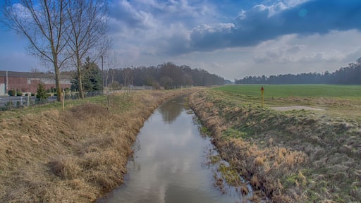 A part of Adelheidsdorf