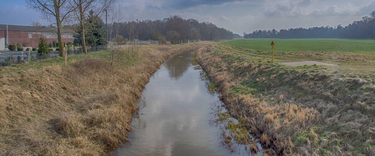 A narrow water channel with dry grass on either side, a leafless tree, and a distant forest under a partly cloudy sky.