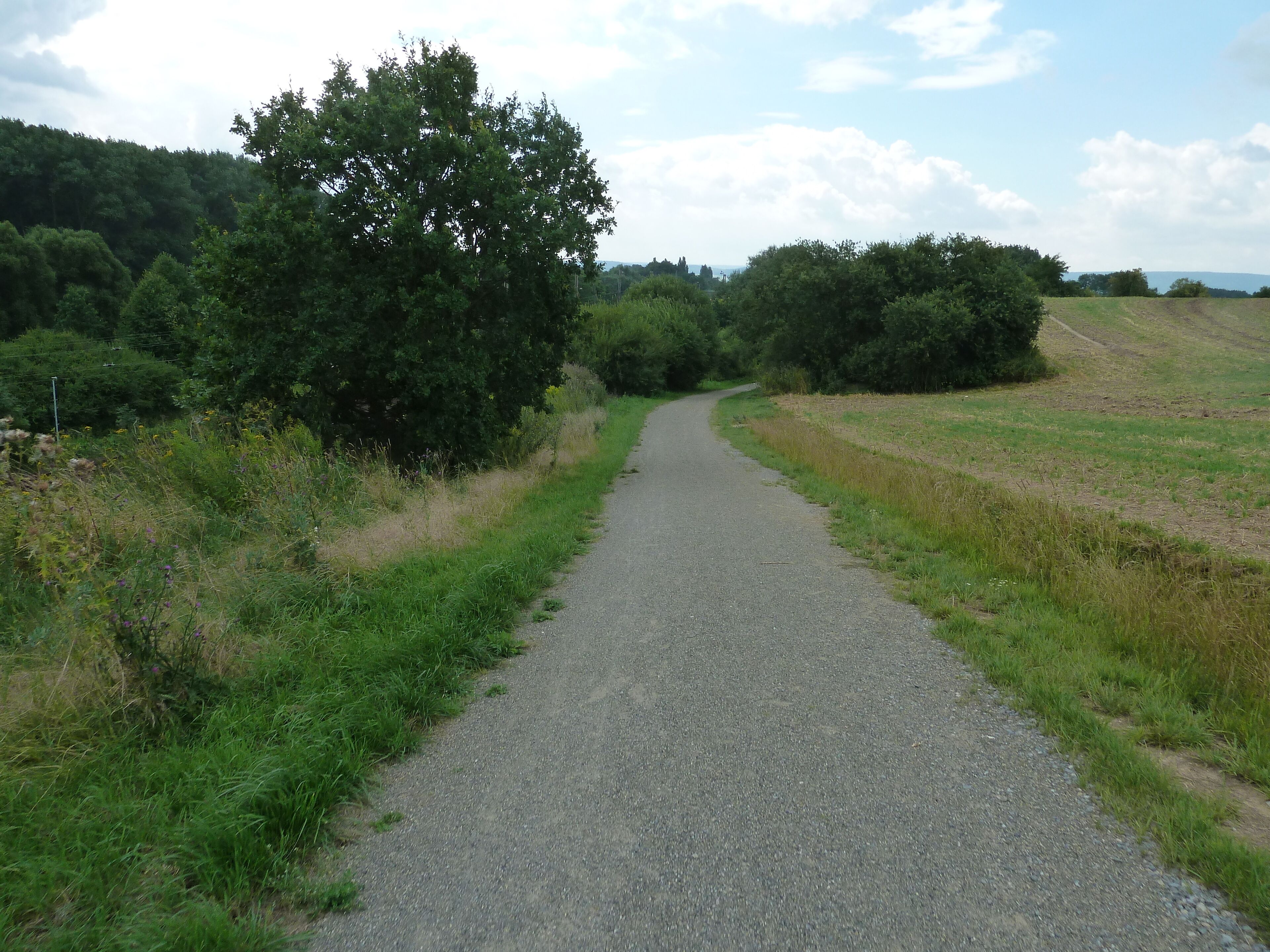 Leine Radweg
