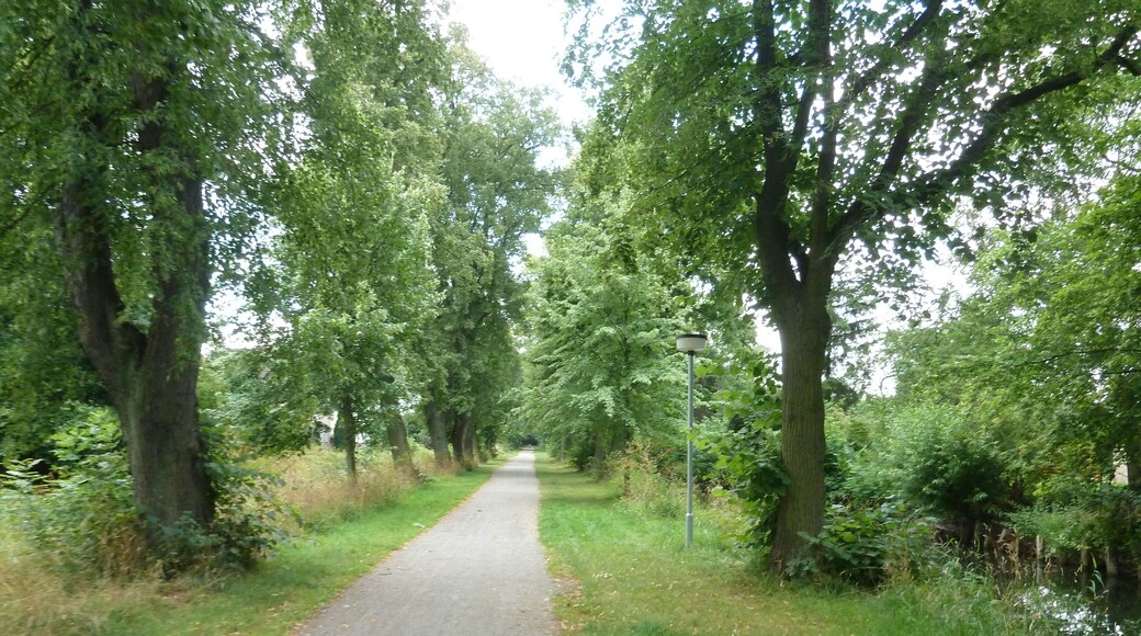 Leine Radweg