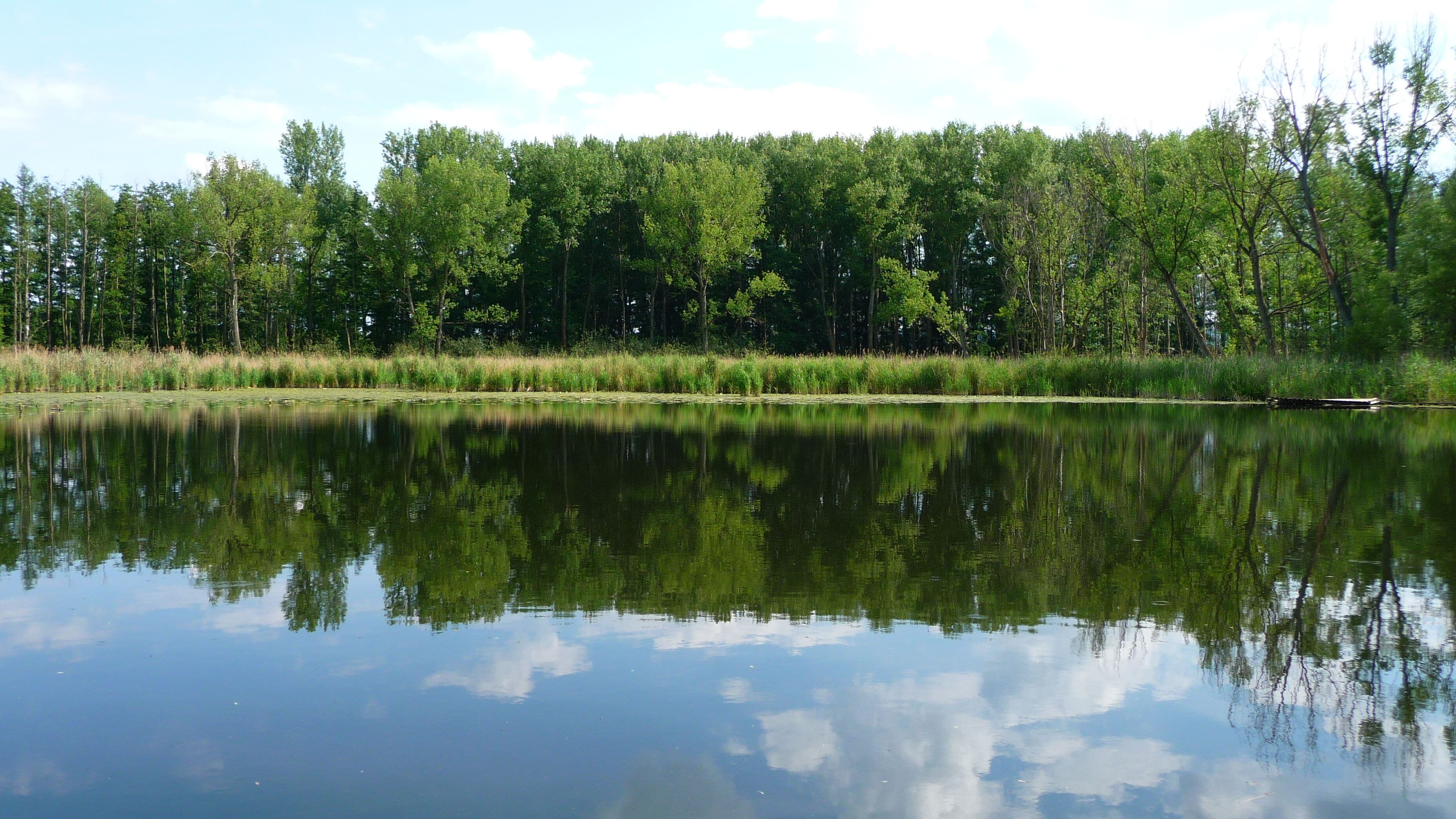Erdfall Asbost bei Elze
