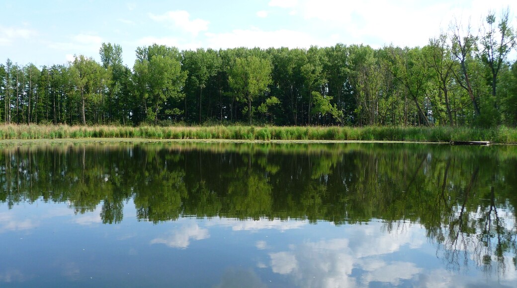 Erdfall Asbost bei Elze