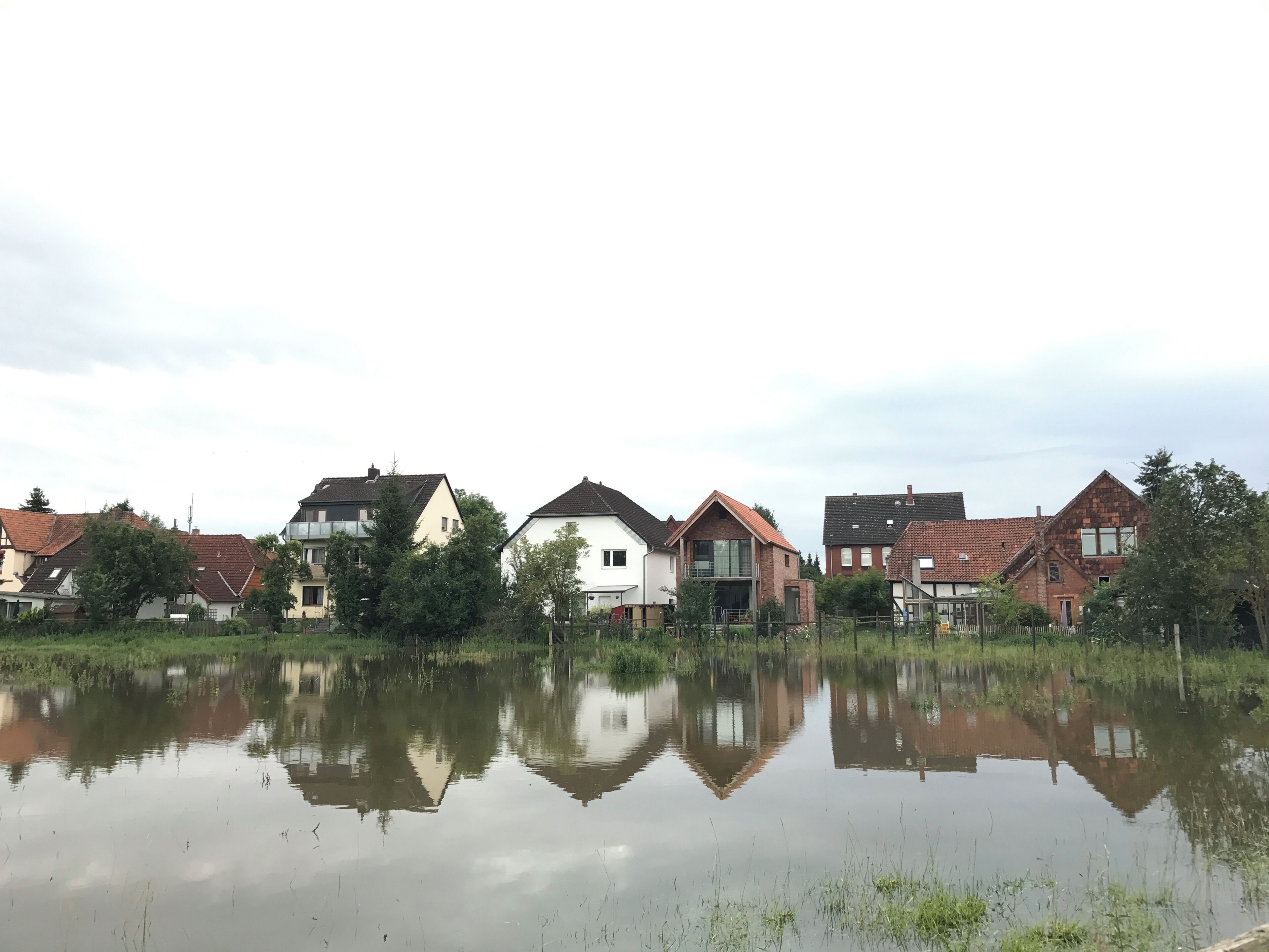 Leine flood Hemmingen 2017-07-28 flooded meadow Hemmingen-Westerfeld behind Dorfstraße